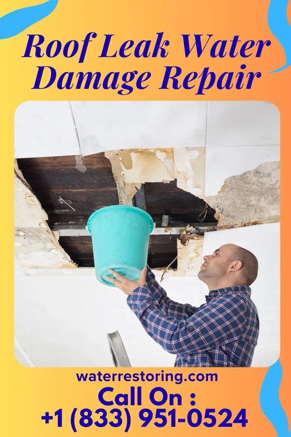 Roof Leak Water Damage Repair in Loma Linda West, TX
